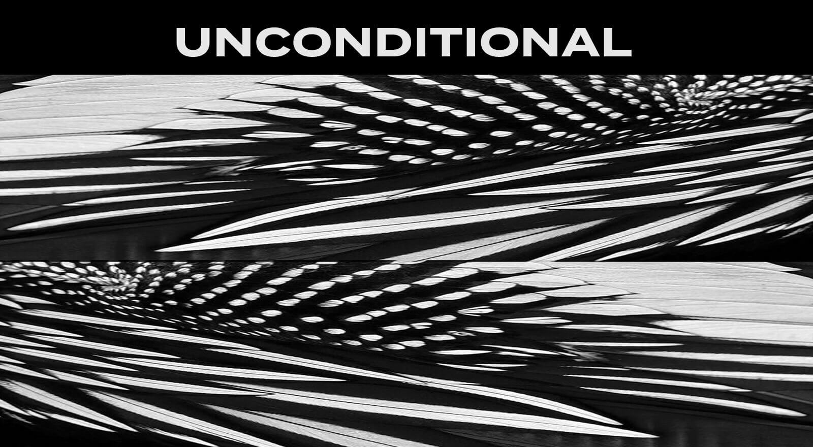 D/Luca Feather Black Unconditional - Artwork