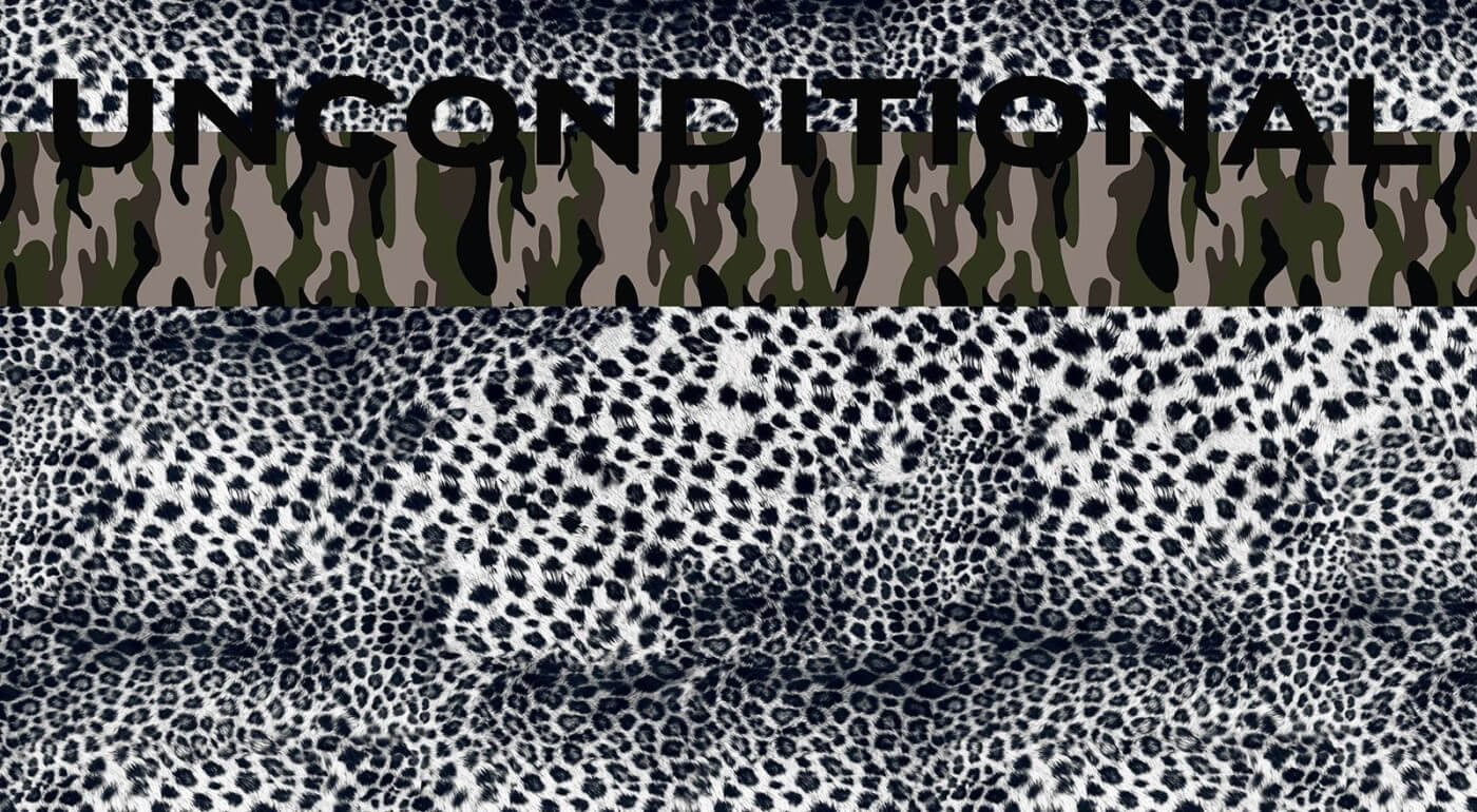 D/Luca Leo Camouflage Unconditional - Artwork